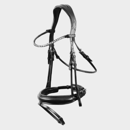 Anatomic Bridle