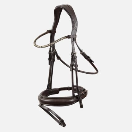 English Noseband Bridle