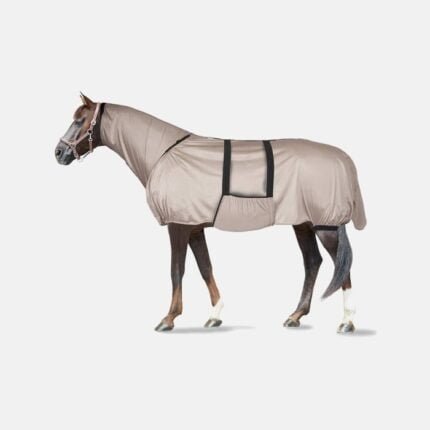 Horse Rugs