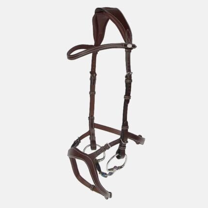 Combined Noseband Bridle